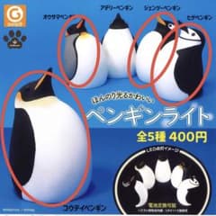 m19971877758_1.jpg?1750424263