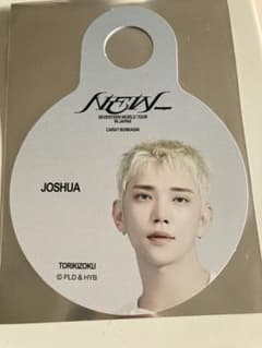 SEVENTEEN セブチ　JOSHUA　ジョシュア　鳥貴族ストロータグのサムネイル