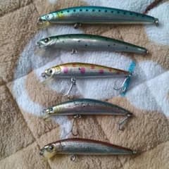 シーバス     ルアーのサムネイル