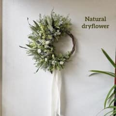 Natural＊ナズナの初夏のグリーンリース＊ドライフラワーリース - メルカリ