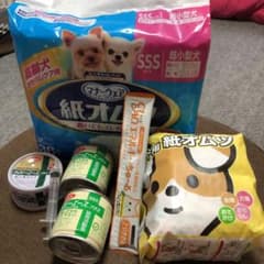 猫ちゃん紙オムツSSSのサムネイル