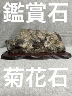 ⭐️鑑賞石 菊花石 台座セット - メルカリ