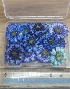 ハンドメイド 花材 ドライフラワー マトリカリア 寒色系 20輪＋α ①