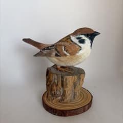 スズメフクロウ　木彫りの野鳥　 野鳥彫刻　バードカービング 野鳥.スズメ バードカービング 彫刻 リアル木彫りの野鳥 一点物