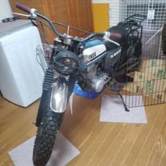 HONDA エイプ スクランブラー カスタムのサムネイル