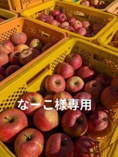なーこ様専用　葉とらずりんご約10キロのサムネイル