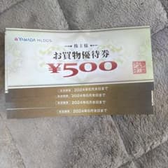 ヤマダ電機　株主優待2,000円のサムネイル