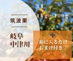 ② 【10月1日夕方採れ】栗　岐阜県中津川産　筑波　1kg＋約100g おまけのサムネイル