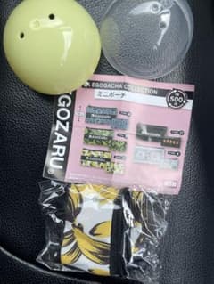 EGOZARU EGOGACHA 미니 파우치 TYPE-C