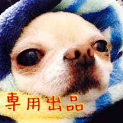 Misaki Satou様専用のサムネイル