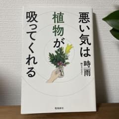 悪い気は植物が吸ってくれるのサムネイル