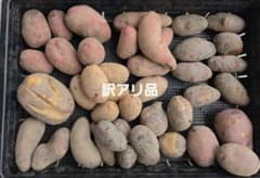 カラフルポテト9種類セット　食べ比べ　箱込4.5キロ わけあり じゃがいものサムネイル