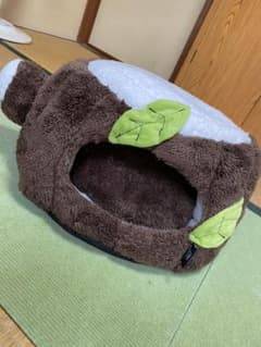 切り株の猫ハウスのサムネイル