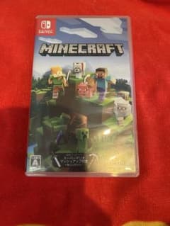 Minecraft Nintendo Switch