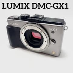 Panasonic LUMIX DMC-GX1 ボディ ミラーレス一眼 動作品 Panasonic LUMIX DMC-GX1 本体 ミラーレス一眼 - メルカリ