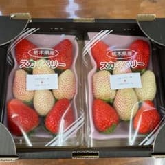 栃木県産　いちご　紅白詰めのサムネイル