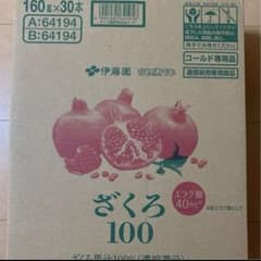 伊藤園 ざくろ100 160g×30本 ざくろ果汁100% エラグ酸40mg - メルカリ