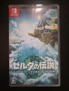 젤다의 전설 TEARS OF THE KINGDOM