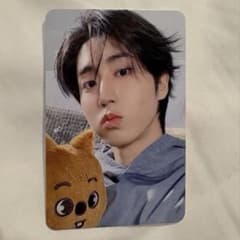straykids 4/4 ペンミ 入場特典 stayzoneハン トレカ - メルカリ