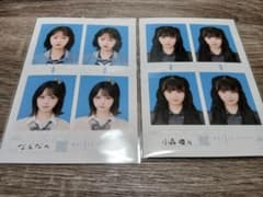 seju　証明写真　まとめ売りのサムネイル