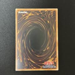 専用のサムネイル
