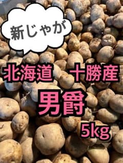 北海道　十勝産　男爵　5kg じゃがいも　新じゃがのサムネイル