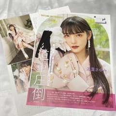 安い道重さゆみ 12枚の通販商品を比較 | ショッピング情報のオークファン