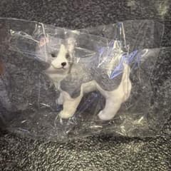 ふり向けば君が...犬 秋田犬（虎毛）のサムネイル