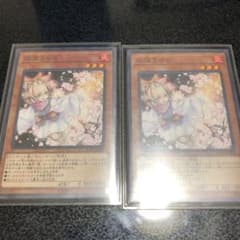 遊戯王 灰流うらら ノーマルのサムネイル