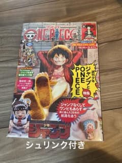 新品未開封 ONE PIECE ワンピースマガジン20号 - メルカリ