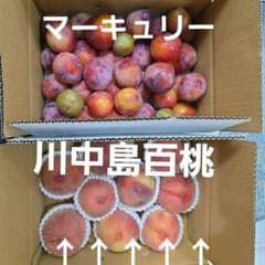 山形県産ミネラル使用 プラム 桃 詰め合わせ 訳あり3キロ2箱のサムネイル