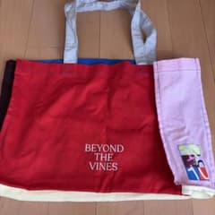 BEYOND THE VINES マルチカラー トートバッグのサムネイル