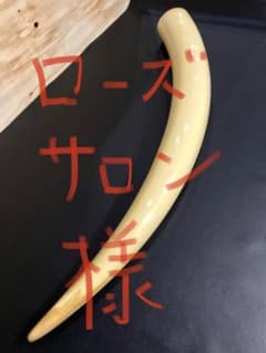 象牙風置物 レプリカ 練り物　オブジェ 一本牙 全長100cm 象牙風置物 レプリカ 練り物 オブジェ 一本牙 全長100cm - メルカリ