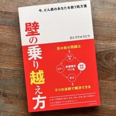 壁の乗り越え方 さどうりゅうとうのサムネイル