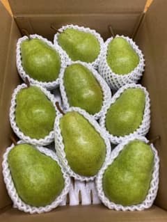山形県産 洋梨 バートレット3L以上 3kgのサムネイル