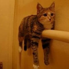 MTG レクタ様専用のサムネイル