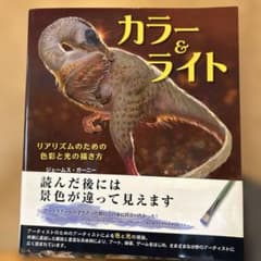 カラー&ライトのサムネイル