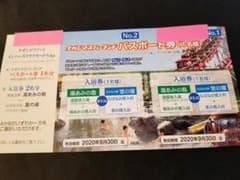 長島 ナガシマスパーランド パスポート券 1枚のサムネイル