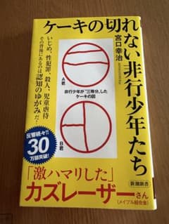 ケーキの切れない非行少年たち 宮口幸治 新潮新書のサムネイル