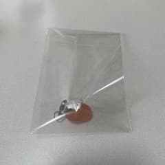 ポチャッコ めじるしチャームのサムネイル