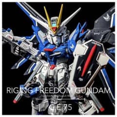 MGSD ライジングフリーダムガンダム ミキシング改造 塗装済み完成品 m20036045685_1.jpg?1774850556