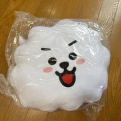 BT21 BTS 쿠션