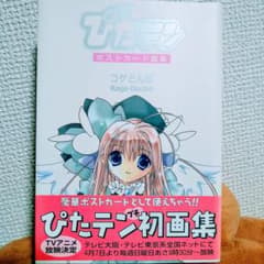ぴたテン ポストカード画集 - メルカリ