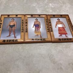 大相撲優勝額 ミニチュア版 貴花田 貴ノ花 - メルカリ