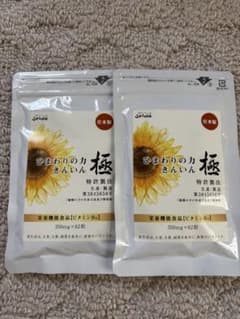 ひまわりの力　極のサムネイル