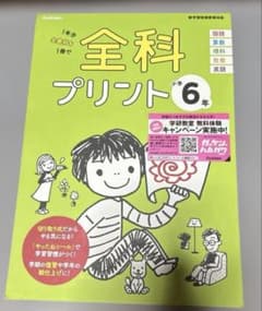 [未使用！]全科プリント : 1年分全教科を1冊で. 小学6年のサムネイル