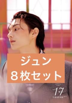 SEVENTEEN ジュン　８枚セット