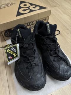 ナイキ ACG マウンテン フライ 2 LOW GORE-TEXのサムネイル