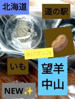 I*S様 北海道道の駅ピンズ御当地　望羊中山初NEW✨️激レア希少シルバーあげポのサムネイル