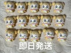 푸치큐아 하우스 vol.2 플록키 피겨 시럽 15개 세트
